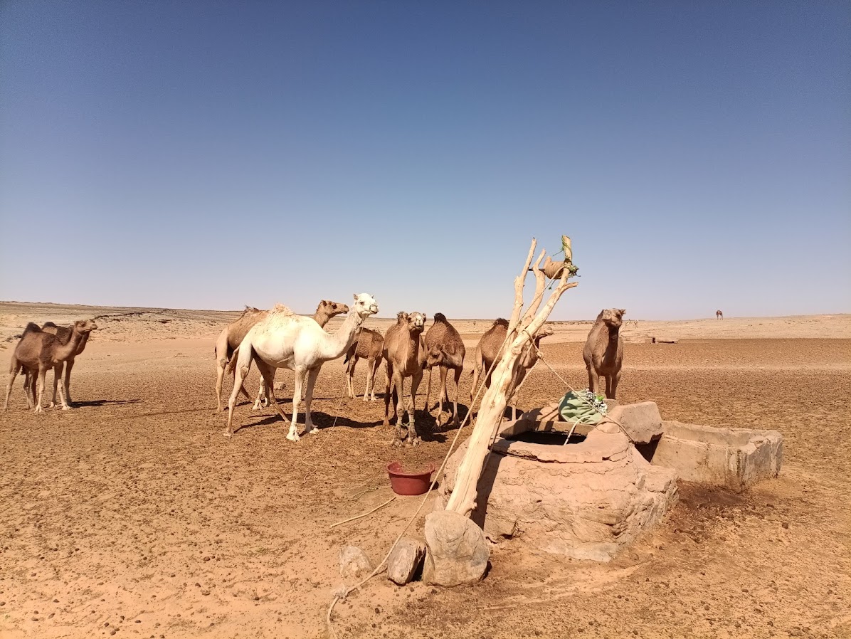 Wüsten brunnen, wasser, wüste, overlanding