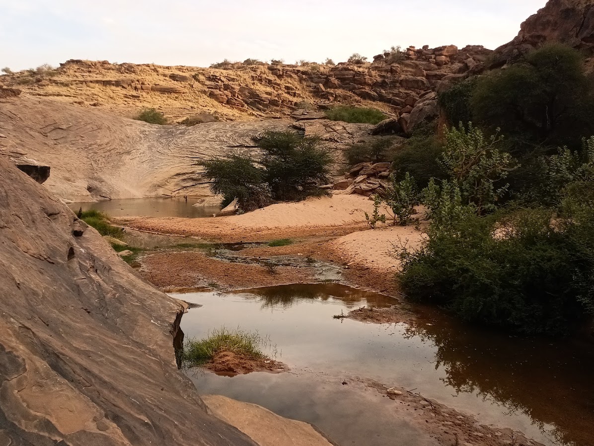 Mauretanien, Natur, Krokodile