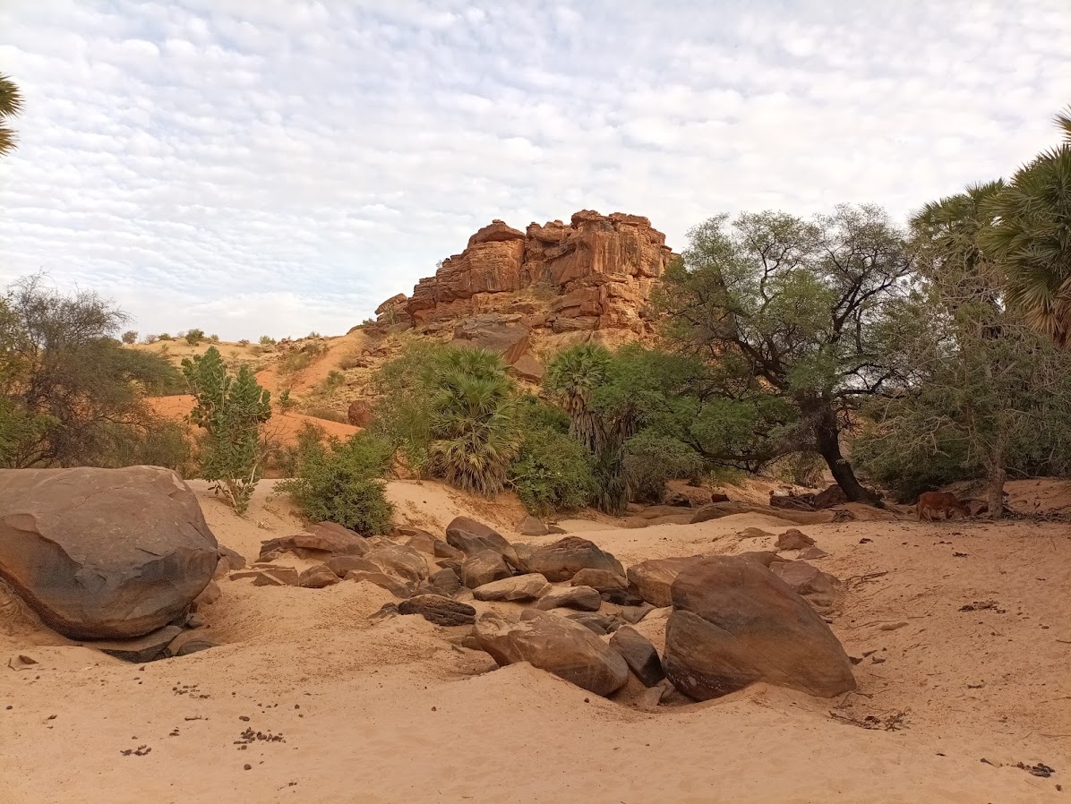 Natur, Mauretanien, Overlanding