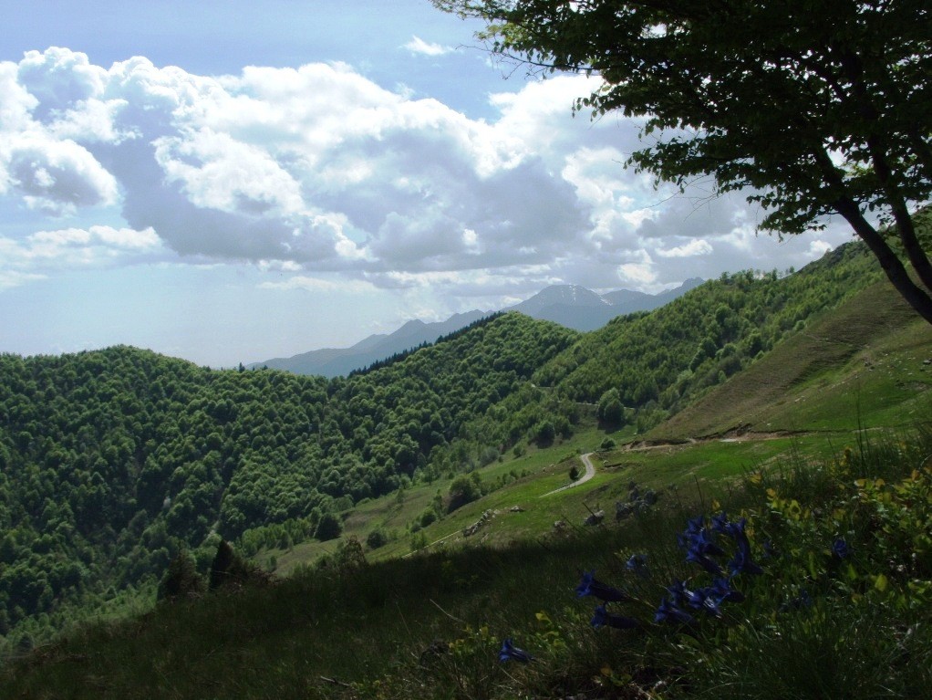 ALPE SACCHI - Agosto 2006