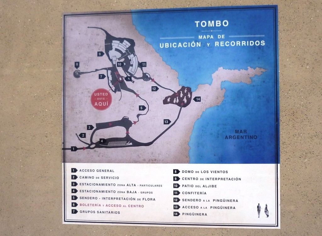09.01.2012 - PUNTA TOMBO - Chubut - Argentina