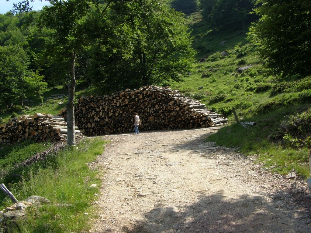 ALPE SACCHI - 13.06.2009