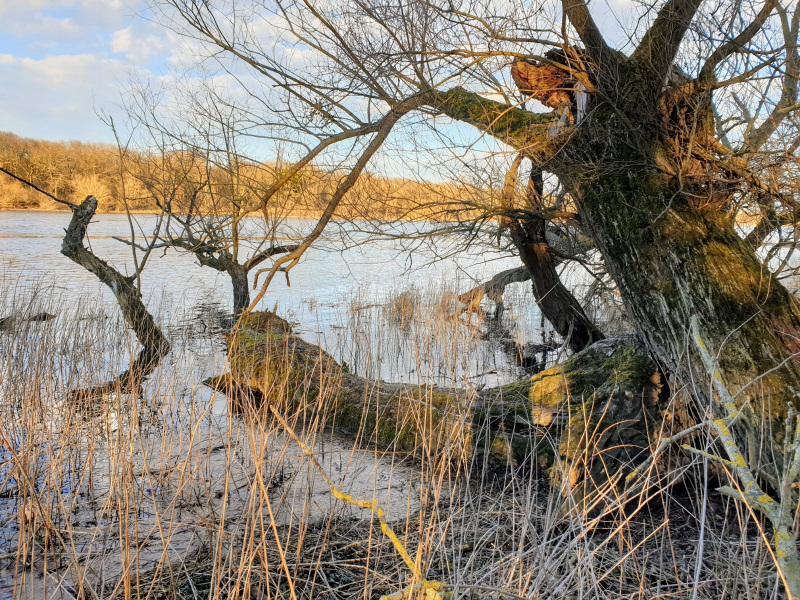 "Es" ist doch da und jeder kann's sehen ... Natur pur