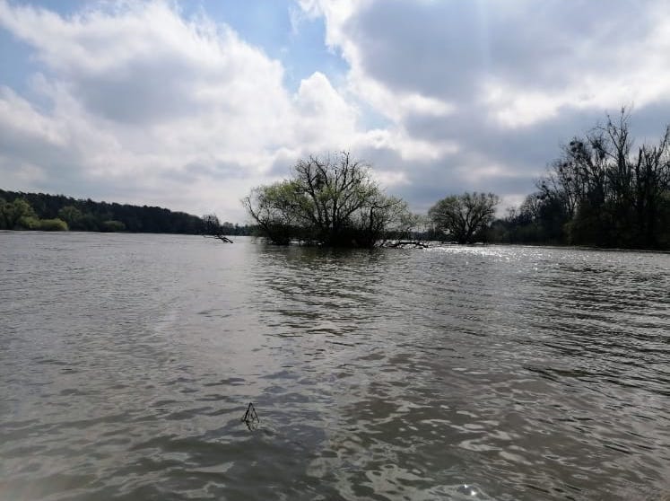 Paddel Ausflug am 20.04.23 beim Pegelstand von 3,65 m unternommen