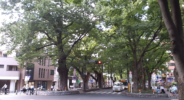 府中けやき並木通りと甲州街道の交差点