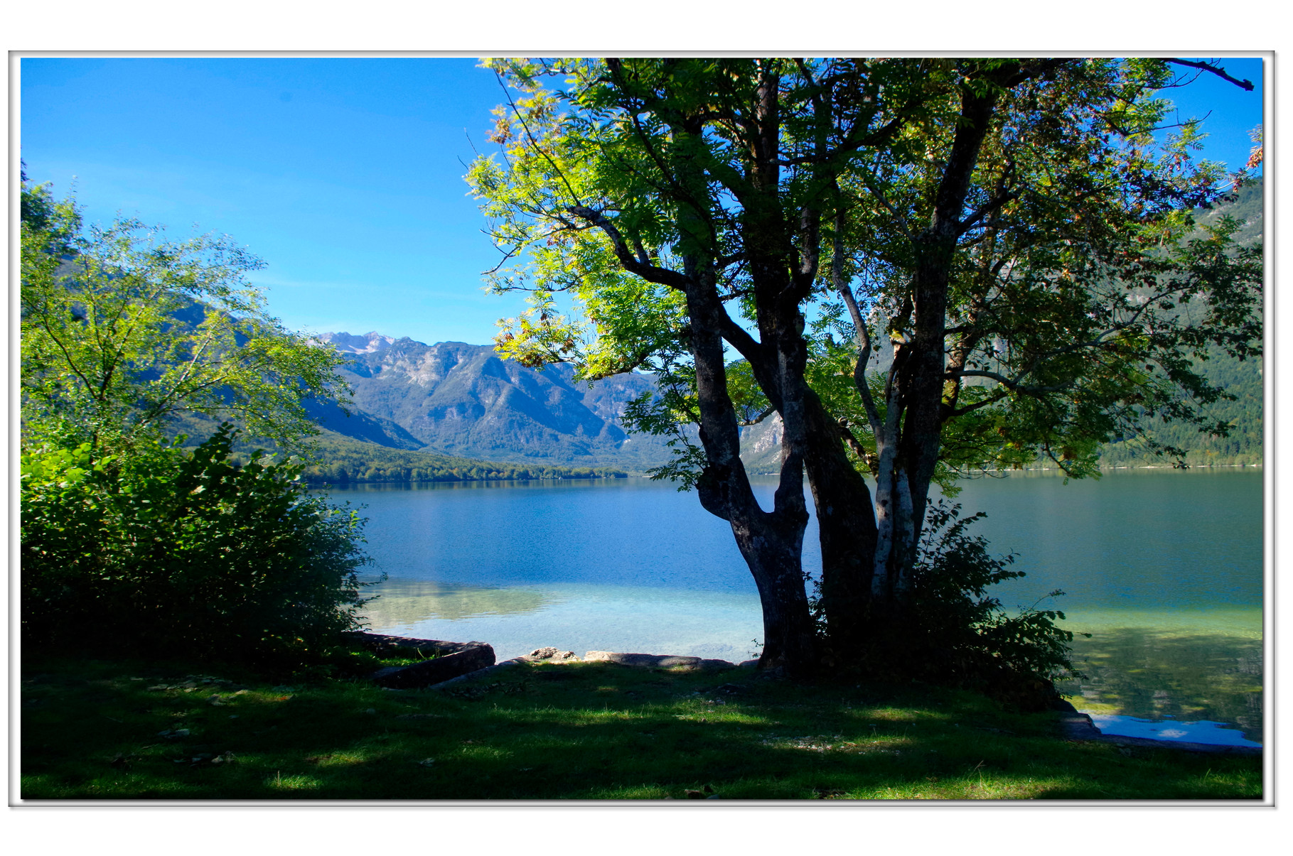 Bohinj See, Slowenien.... ein magischer Ort