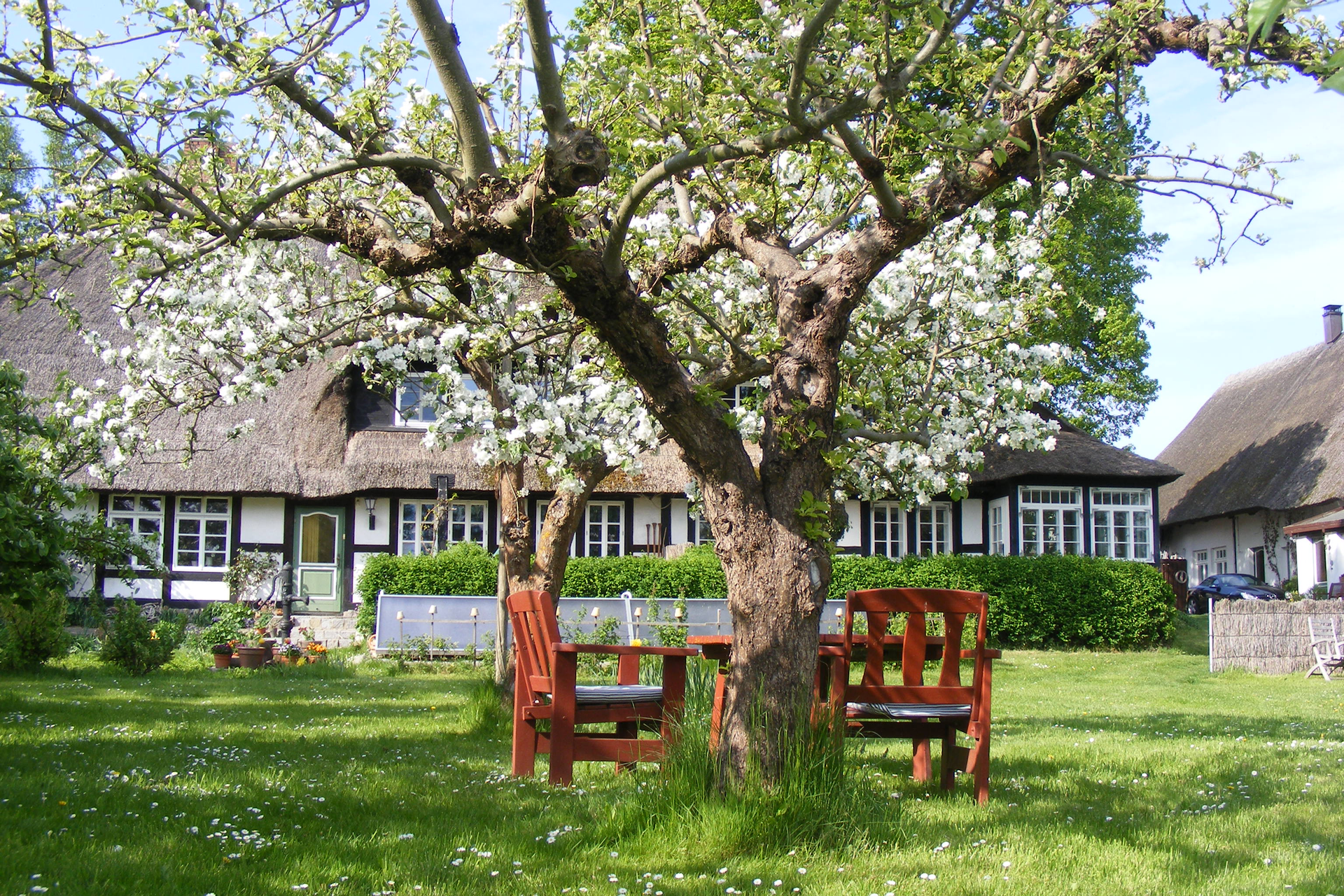Unser Garten fischerfritzs Webseite!