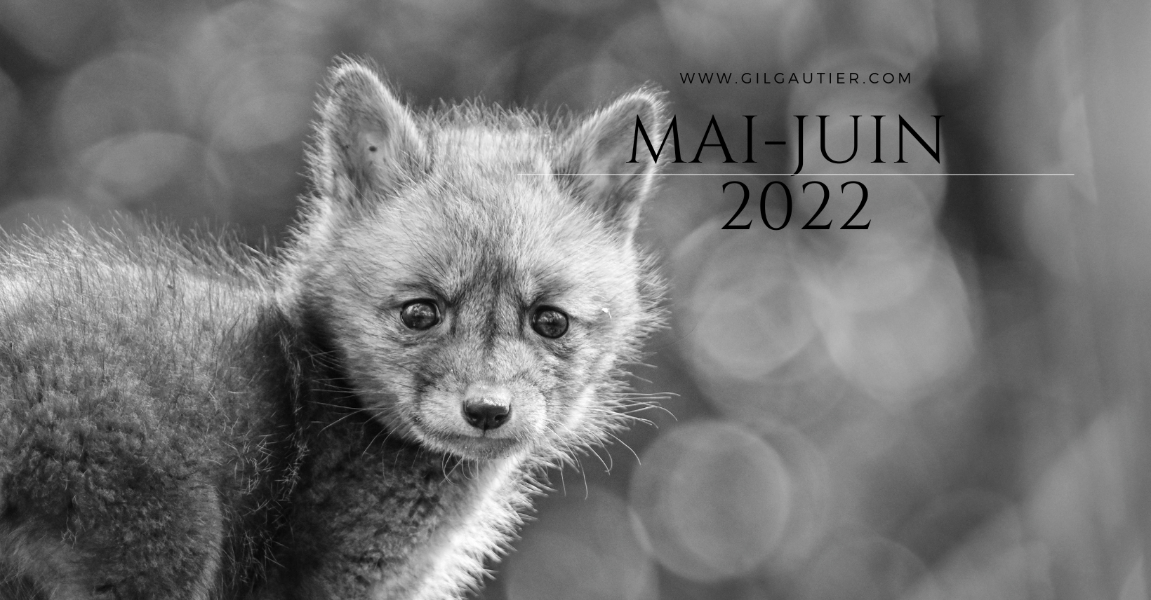 # MAI-JUIN 2022