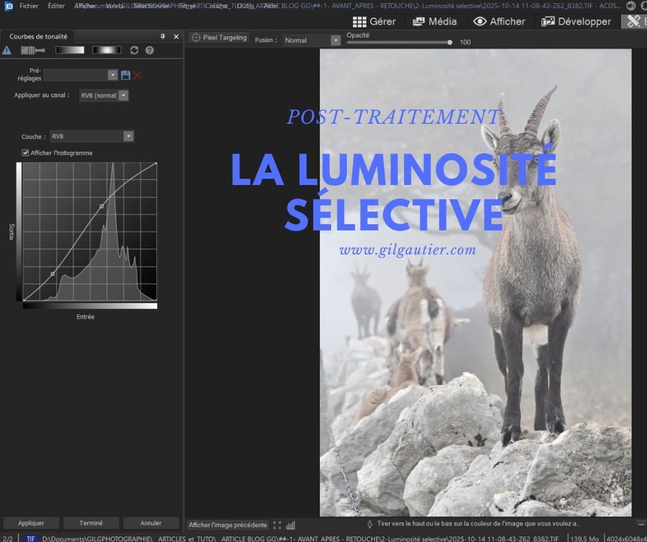 POST-Traitement-AVANT-APRES: LA LUMINOSITÉ SÉLECTIVE