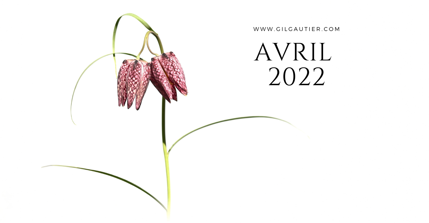 # AVRIL 2022