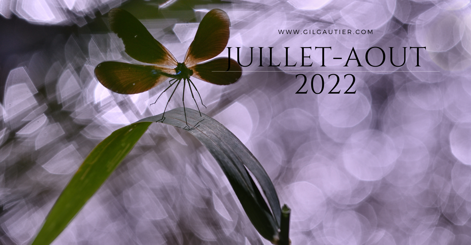 # JUILLET-AOUT 2022