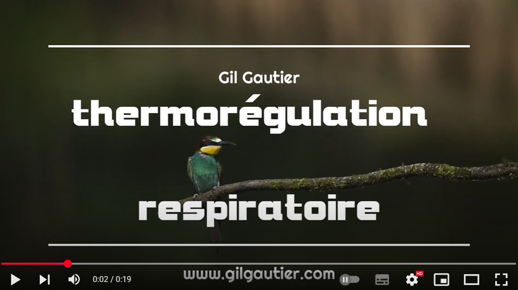 THERMOREGULATION RESPIRATOIRE