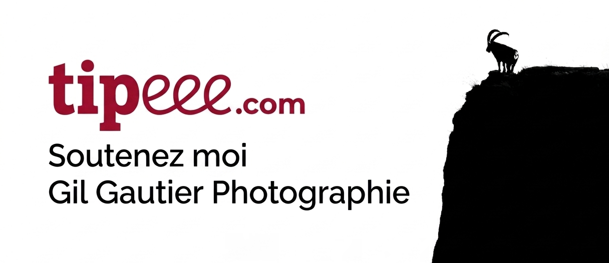 SOUTENEZ MON TRAVAIL ET OBTENEZ DES CONTREPARTIES