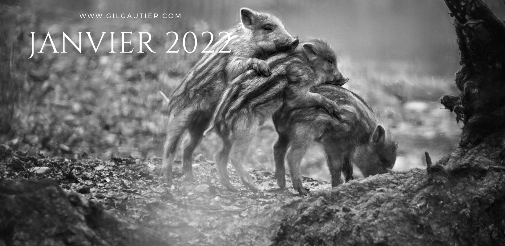 # JANVIER 2022