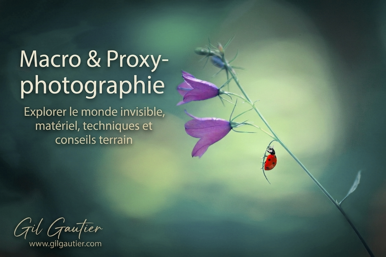 MACRO ET PROXY PHOTOGRAPHIE
