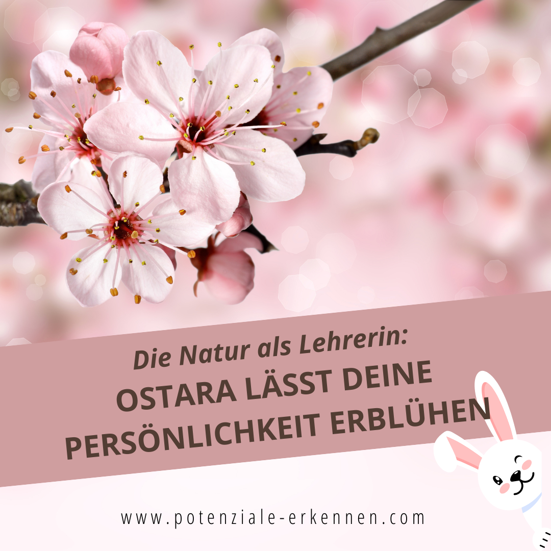 Die Natur als Lehrmeisterin - Ostara