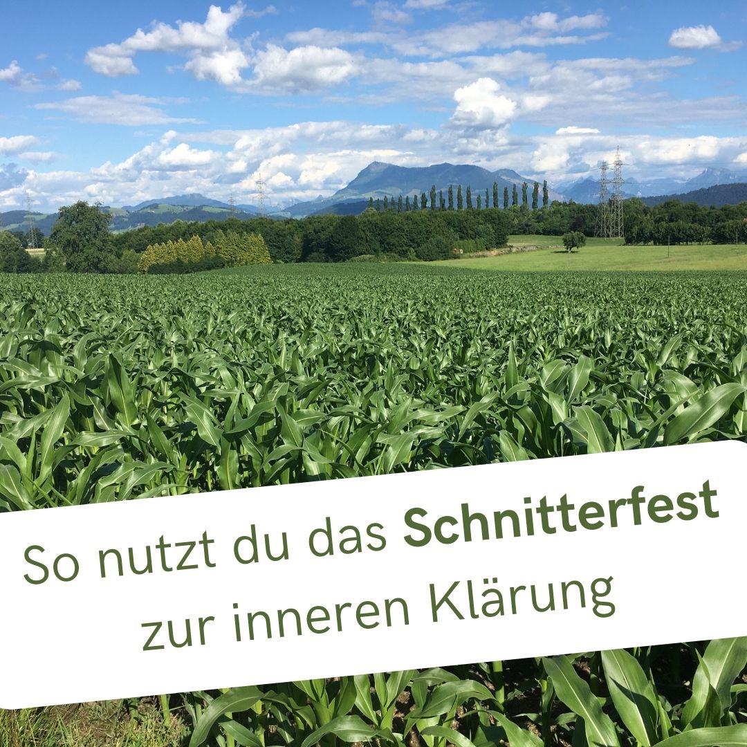 Schnitterfest und 3 Tipps zur inneren Klärung