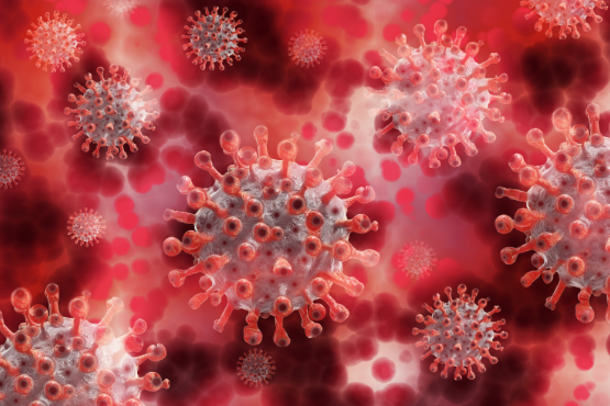 So stärkst du dein fehlgeleitetes Immunsystem tiefgreifend