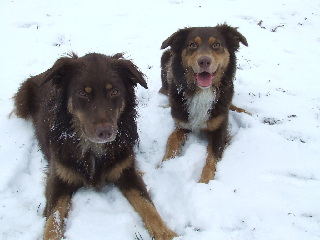 Chilli und Nayeli