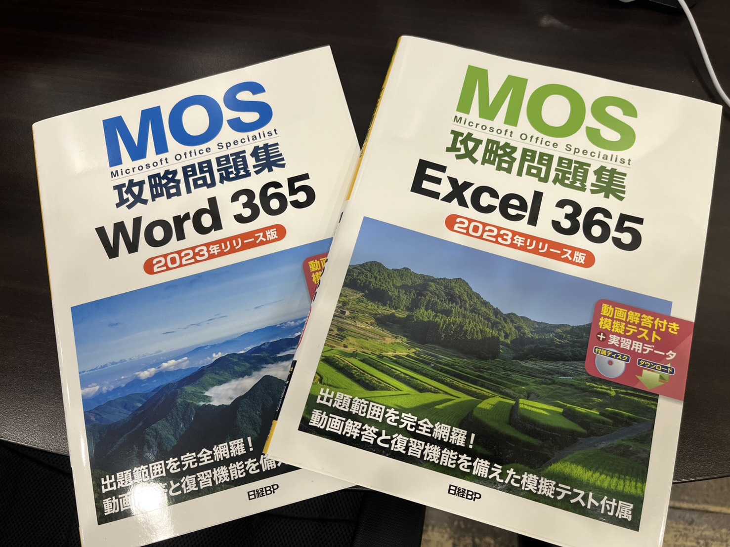 履歴書の資格欄が劇的変化！３か月で駆け抜けたMOS資格への挑戦