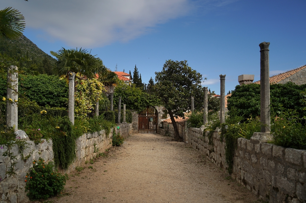 Arboretum, Trsteno