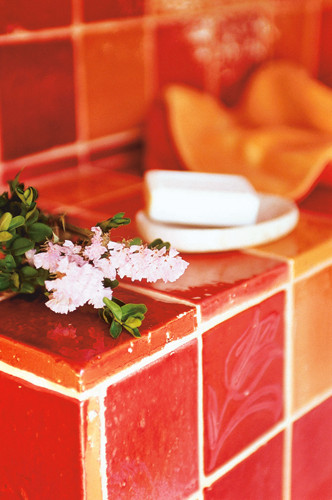 Badezimmer mit glasierter Terracotta