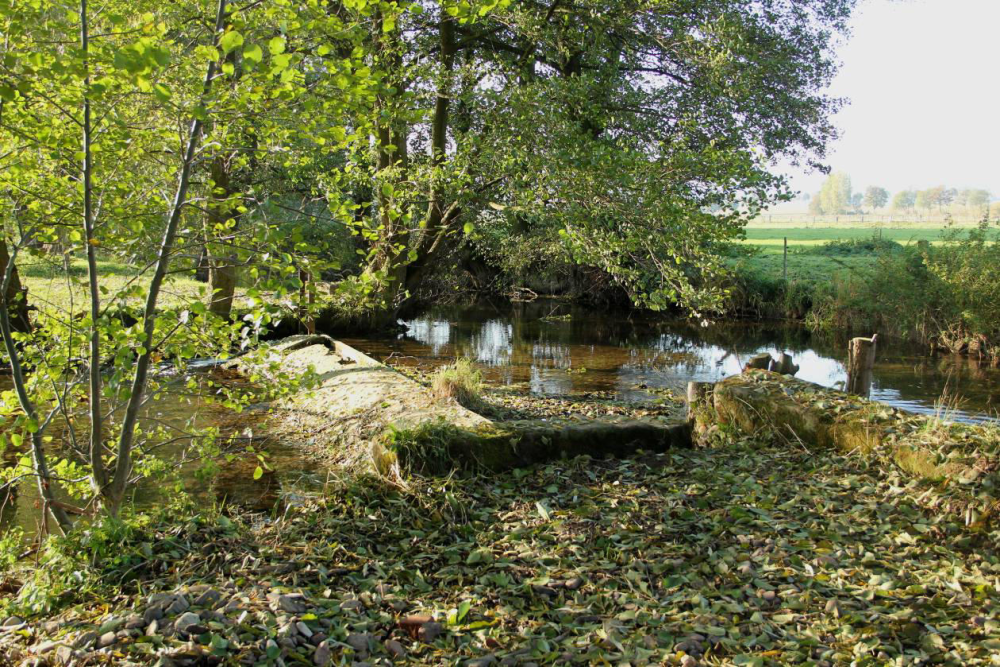 Das Streichwehr bei Niedrigwasser. Aufgenommen am 23.10.11