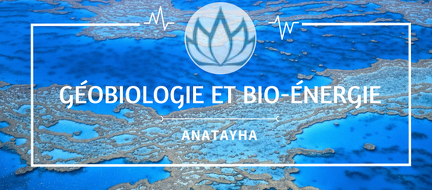 Géobiologie et Bioénergie