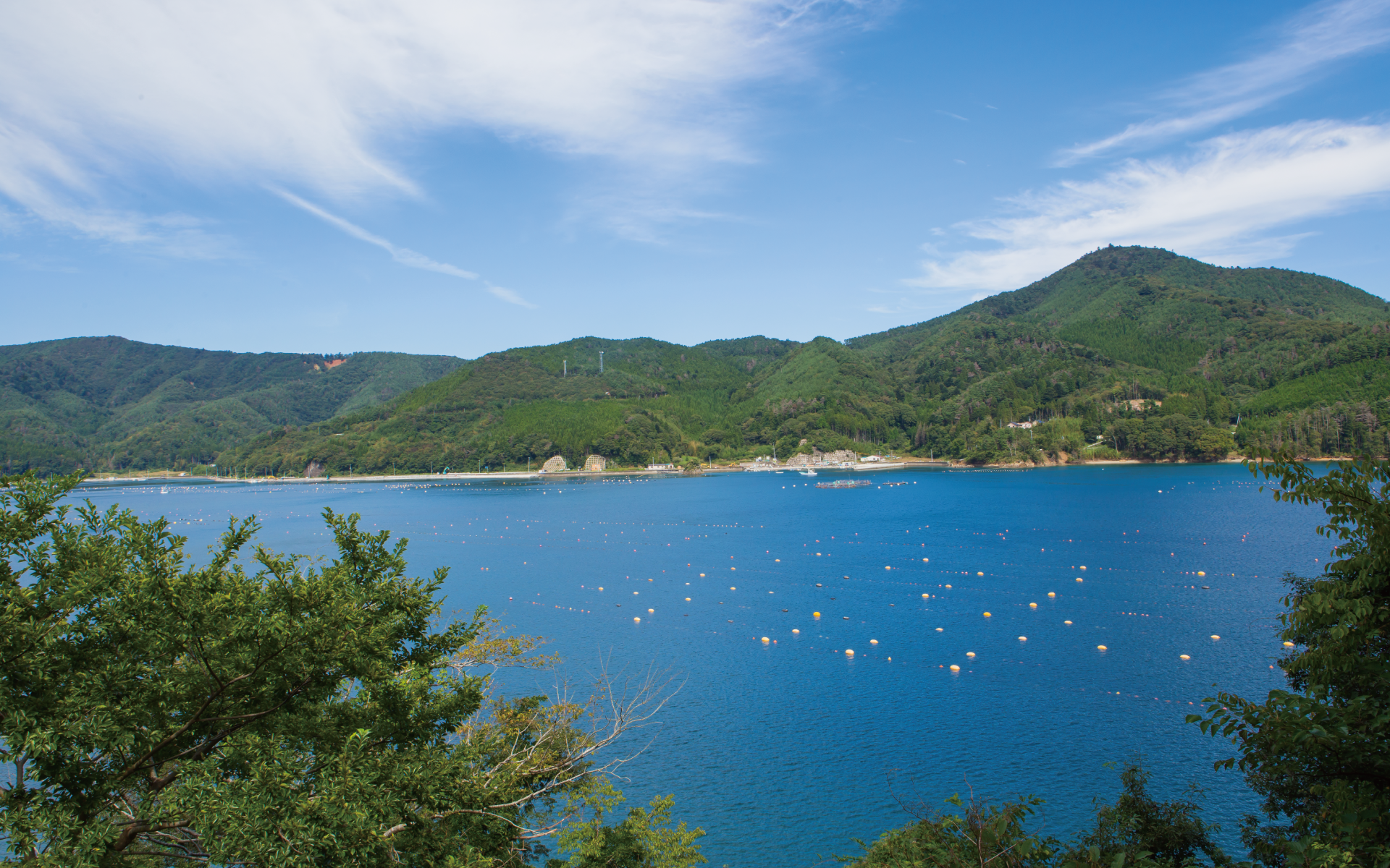 海遊の商品 - 三陸漁師の会社 海遊 海遊の商品 - 三陸漁師の会社 海遊