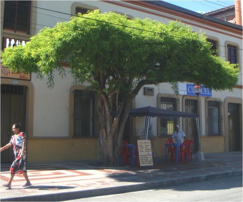 CICLOTRAVESIA EN BUGALAGRANDE - Página web de mibugalagrande2