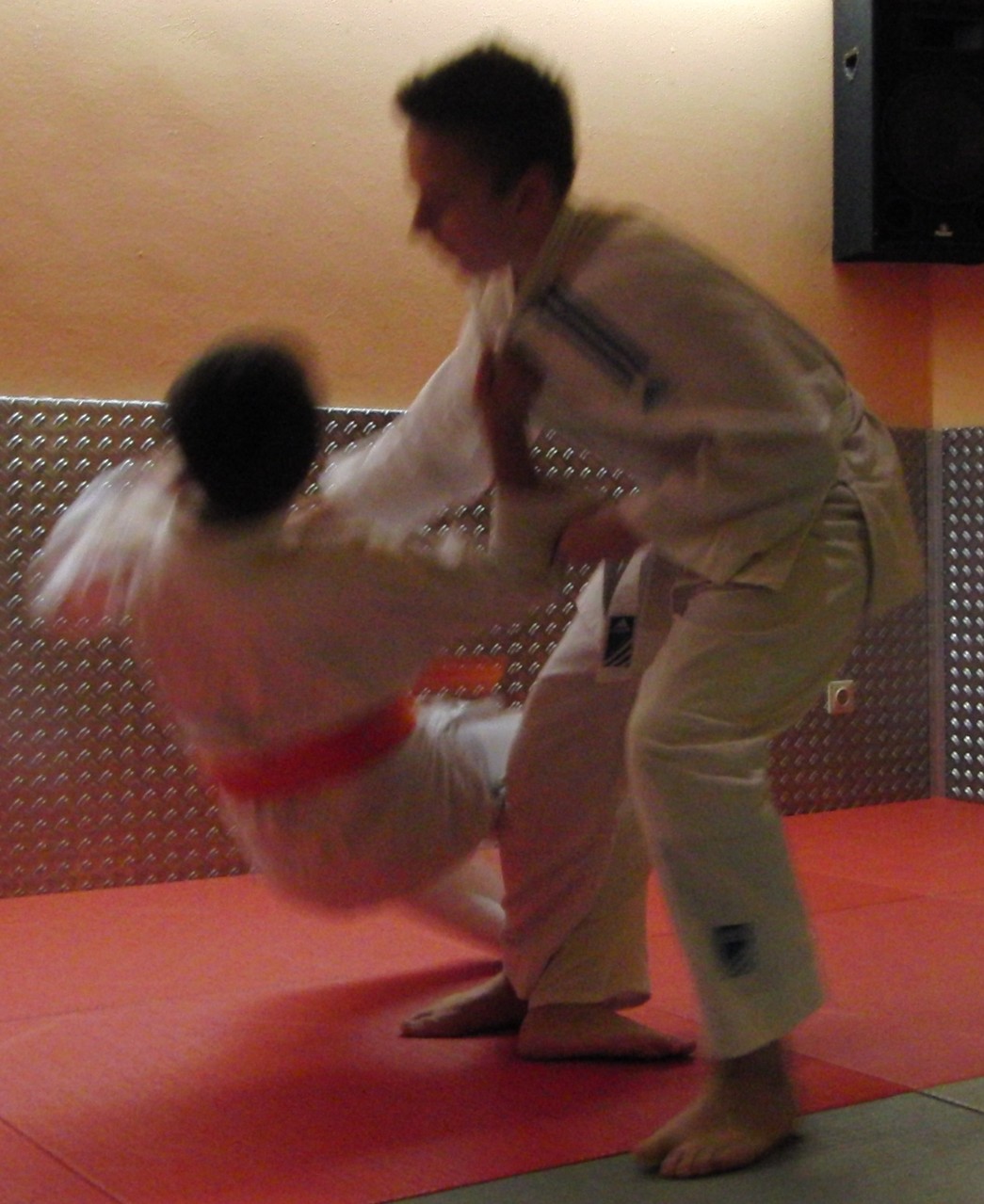Zen-Ki-Budo - traditionelles Jiu Jitsu und moderne Selbstverteidigung