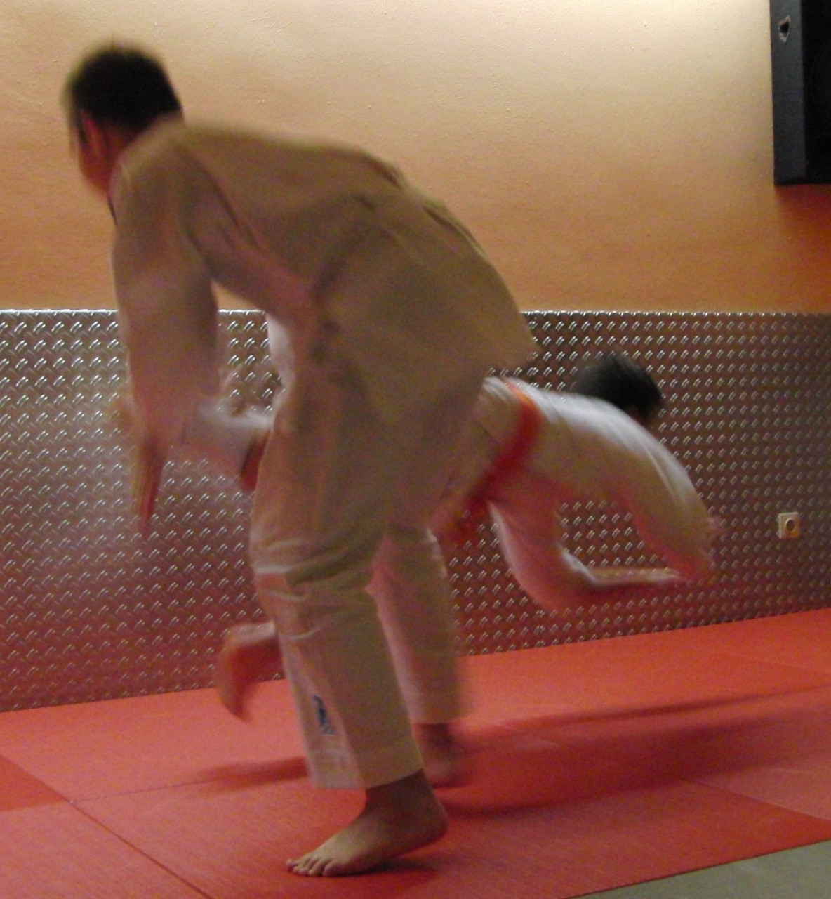 Zen-Ki-Budo - traditionelles Jiu Jitsu und moderne Selbstverteidigung