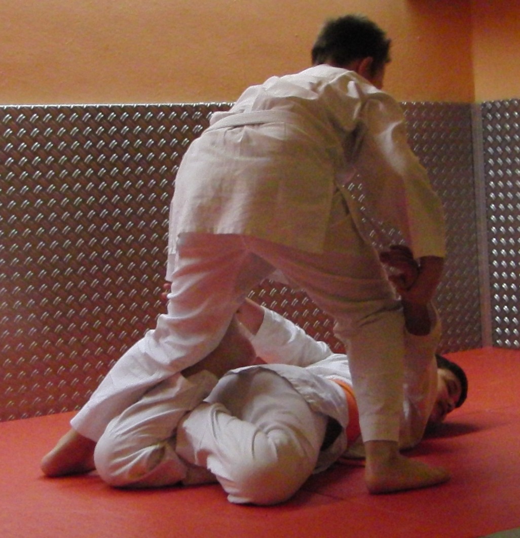 Zen-Ki-Budo - traditionelles Jiu Jitsu und moderne Selbstverteidigung