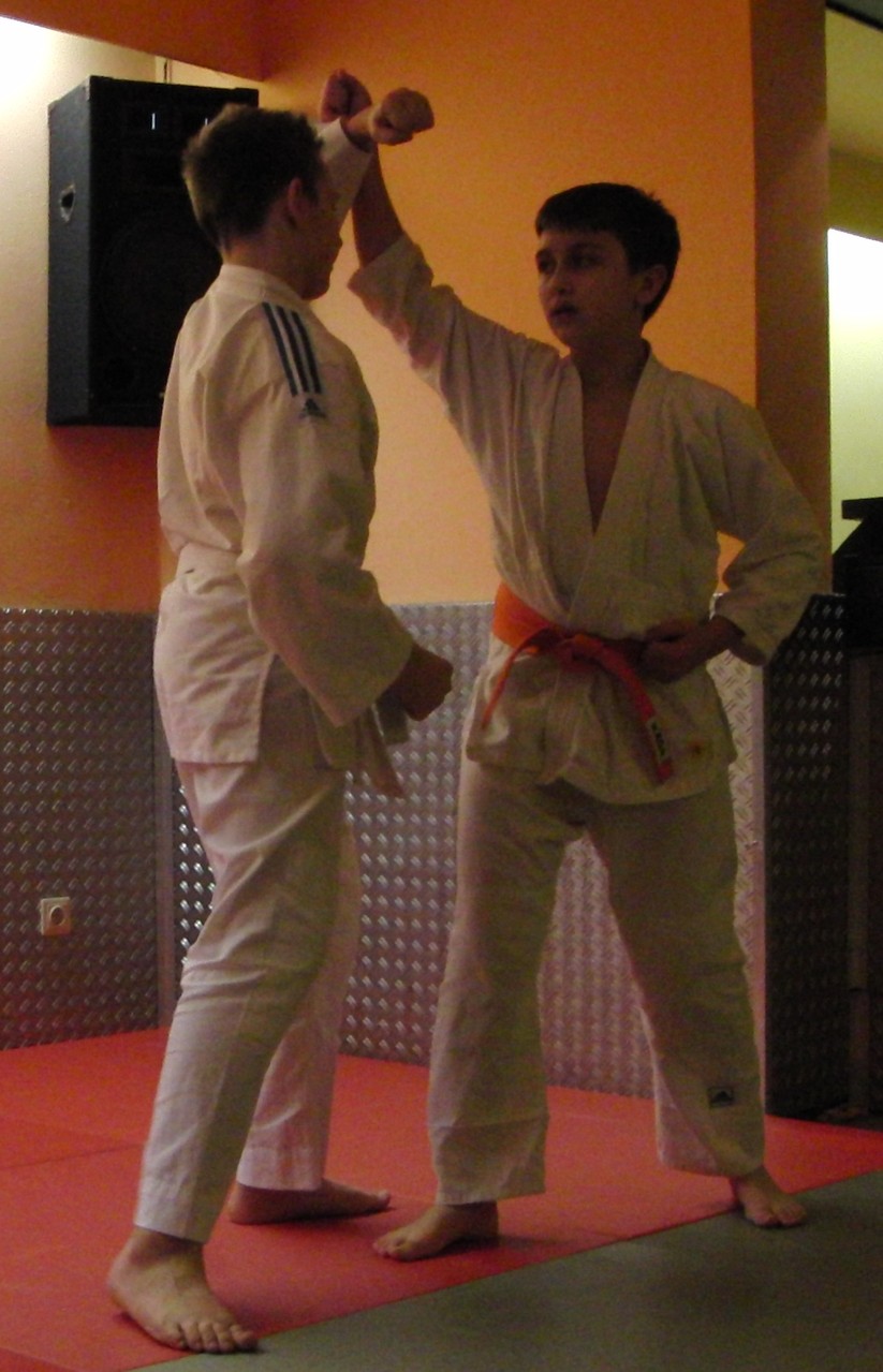 Zen-Ki-Budo - traditionelles Jiu Jitsu und moderne Selbstverteidigung
