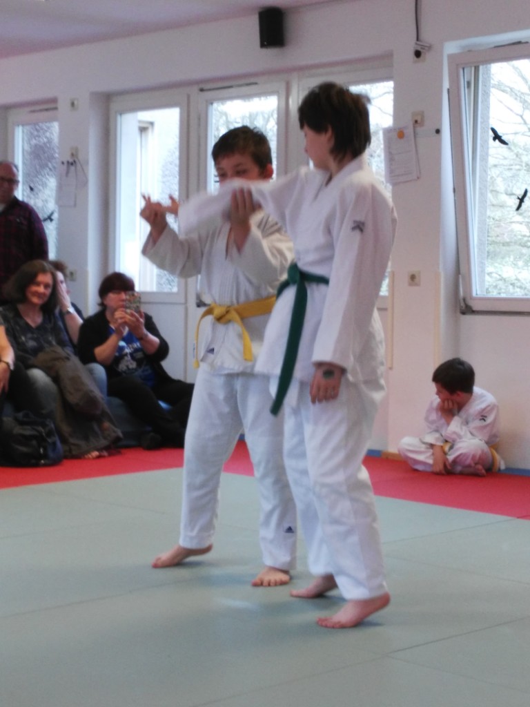 Jiu Jitsu - Selbstverteidigung für Jugendliche - Dragons - Zen-Ki-Budo - Herne - Bochum - Wanne-Eickel - Gelsenkirchen