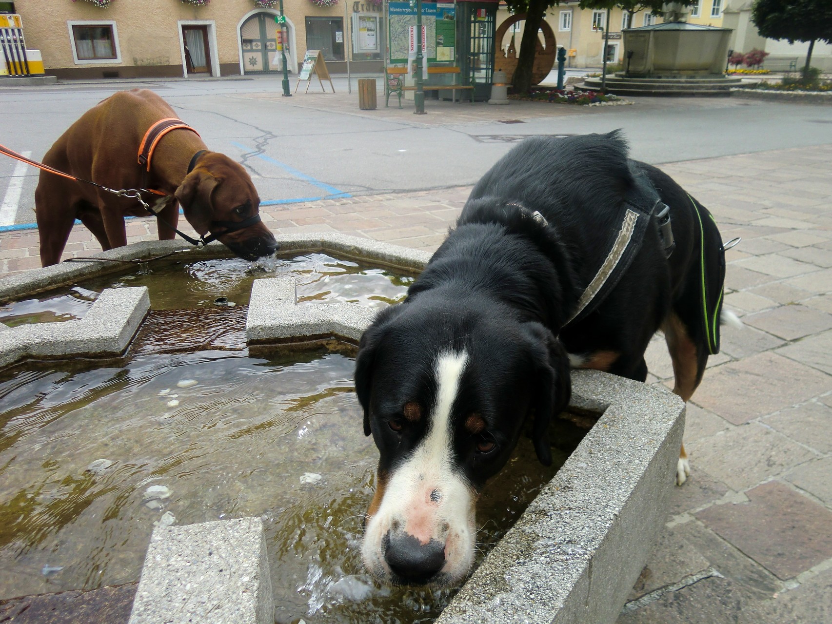 Erfrischung in Oberwölz/STMK