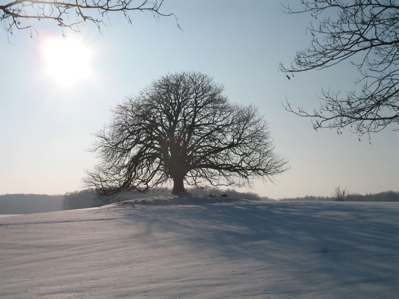 ... und entdecken Sie den Winter in der Holsteinischen Schweiz.