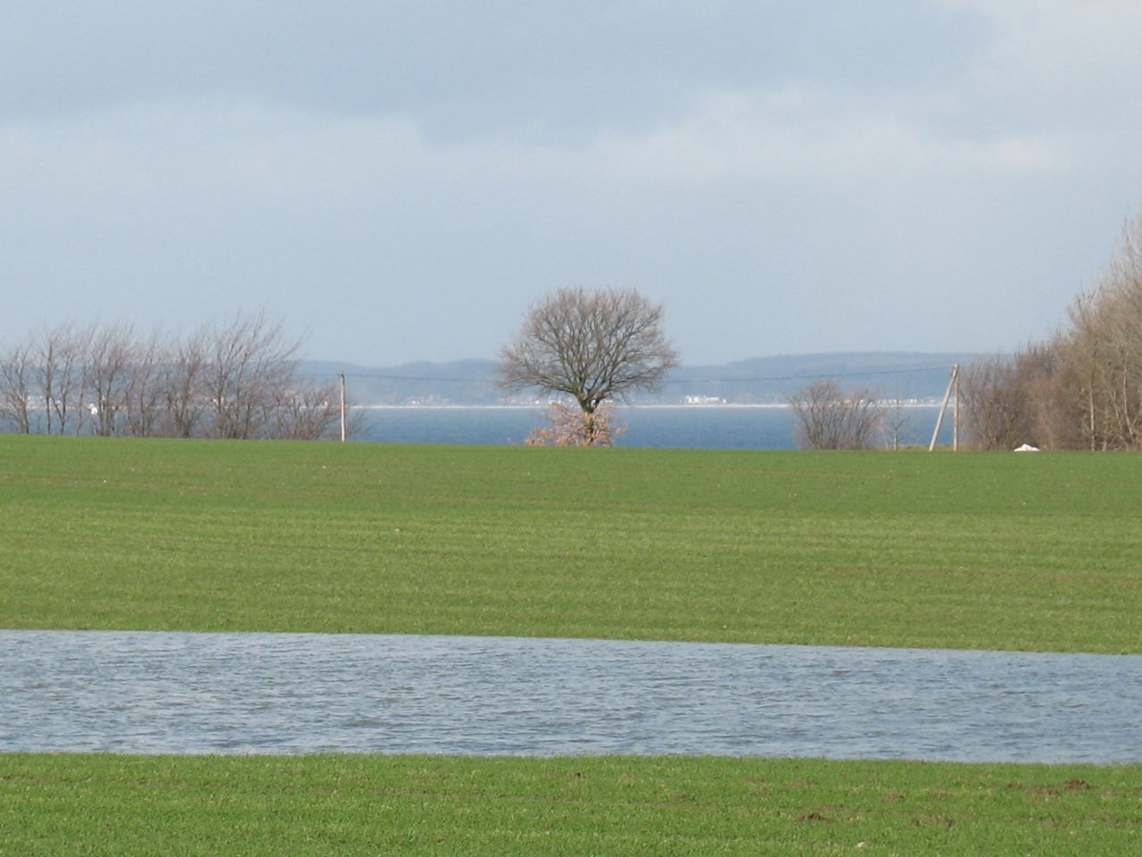 oder freuen Sie sich sich auf den Frühling.