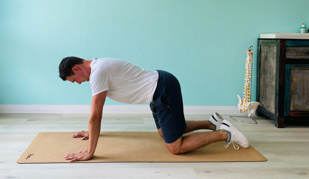 Push-up Plus 4er Position, Schulter mit gestreckten Armen nach oben drücken. 