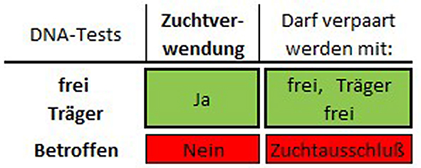 DNA-Untersuchungen