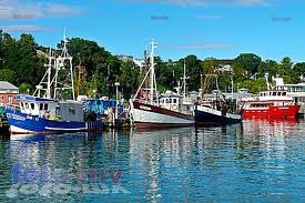 Motorboot und Motor Yacht Lederpflege und Restauration