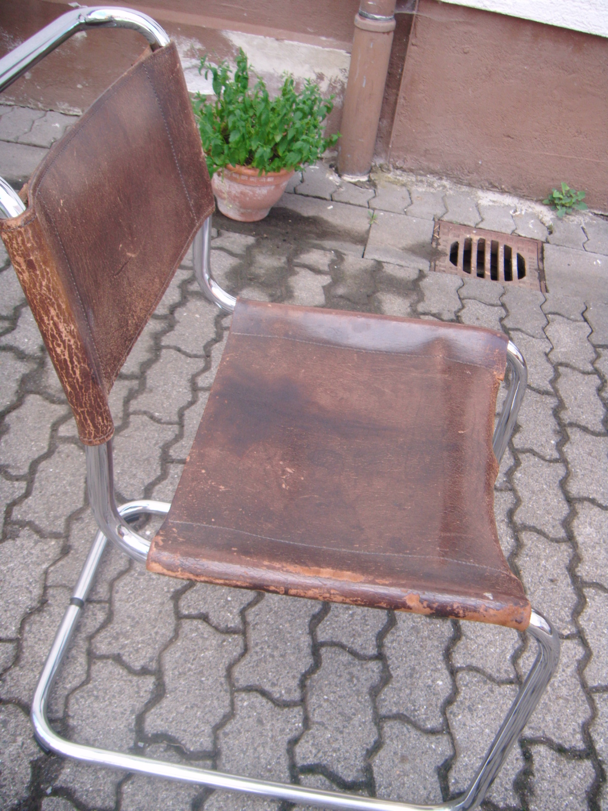 Thonet Freischwinger S33  Vorher