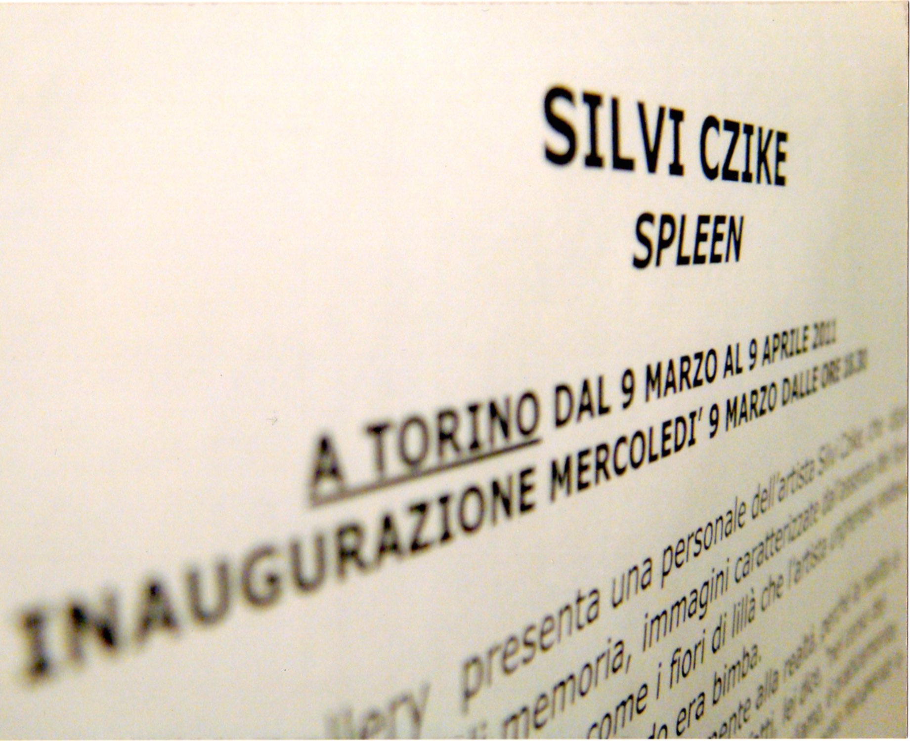 mostra ermanno tedeschi 2011