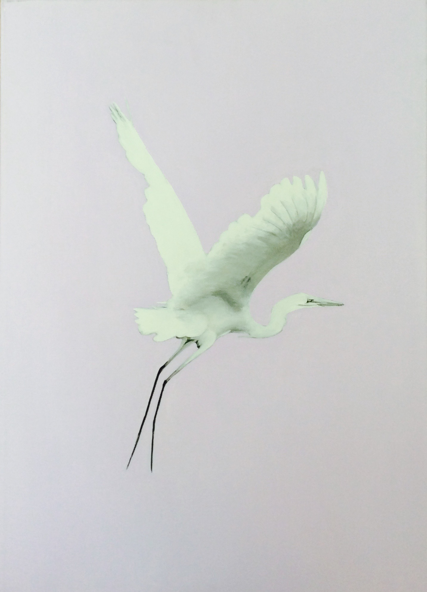 Il volo, acrilico, 2009, 70x90