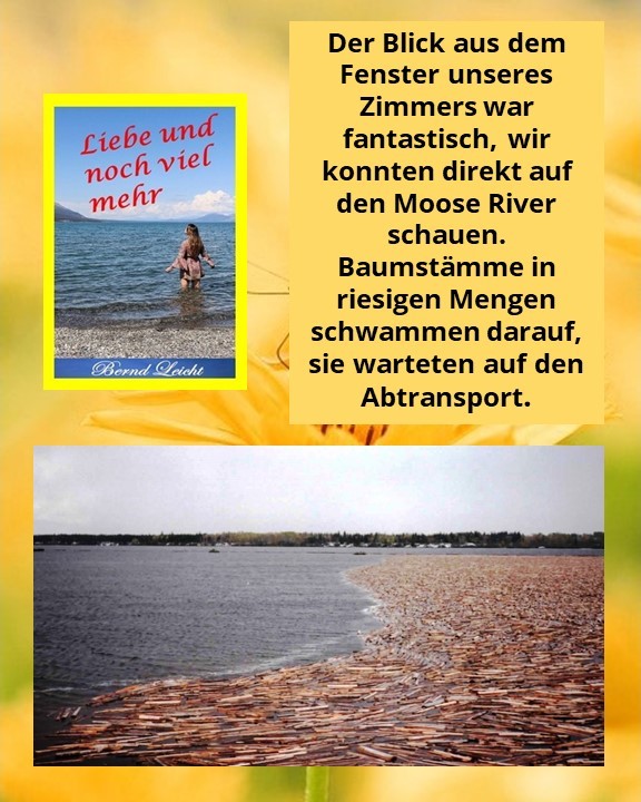 Baumstämme warten auf ihren Abtransport