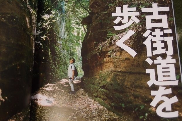 宮田団長ガイドウォーク（掲載写真はNHKテキストより）