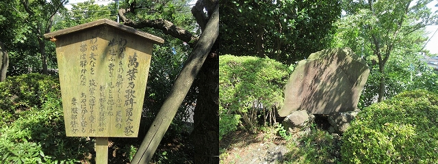 祥泉院にある歌碑  横浜市青葉区みたけ台の祥泉院には、都筑郡の上丁・服部於田夫妻が詠んだ二首の歌の歌碑があります。　　