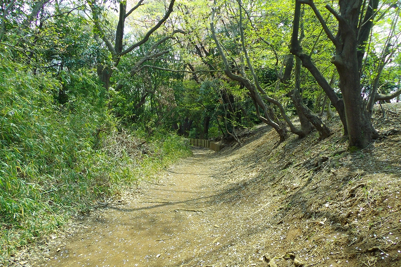 小山田の鎌倉街道（東京都町田市）