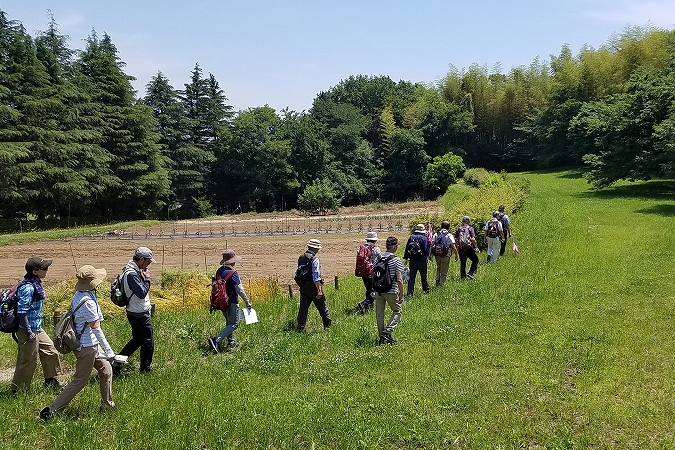 小山田の奥州古街道ウォーク（東京都町田市）
