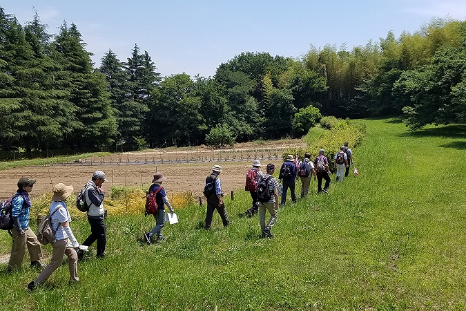 小山田の奥州古街道ウォーク（東京都町田市）